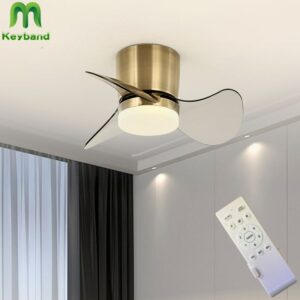 22 Inch Surface Mounted Mini Ceilings Fan With Led Lights And Remote Soft Wind For Children
